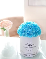 Superdome Classic Rose Bucket