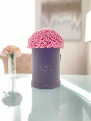 Superdome Velvetine Round Box