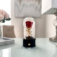 Enchanted Music Box