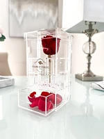 Purest Crystal Vanity Box