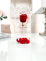 Purest Crystal Vanity Box