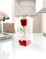 Purest Crystal Vanity Box