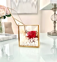 Fairytale Terrarium Box