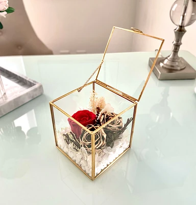 Fairytale Terrarium Box