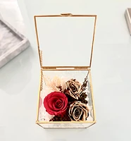 Fairytale Terrarium Box