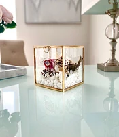 Fairytale Terrarium Box