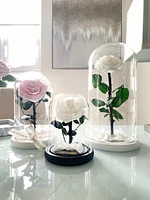 Small Enchanted Glass Dome