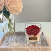 Lush Jumbo Rose in Square Glass Vase