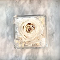 One Love in Square Glass Vase