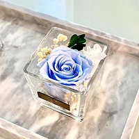 One Love in Square Glass Vase