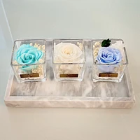 One Love in Square Glass Vase