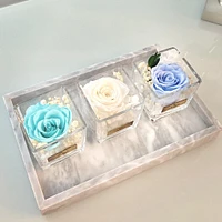 One Love in Square Glass Vase