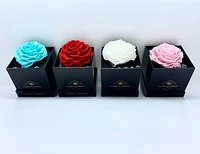 Heart Deluxe Box