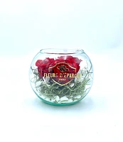 Deluxe Round Vase