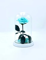 Medium Enchanted Glass Dome