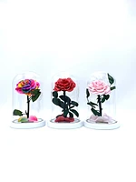 Medium Enchanted Glass Dome