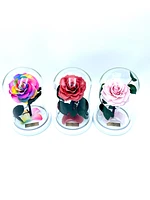 Medium Enchanted Glass Dome