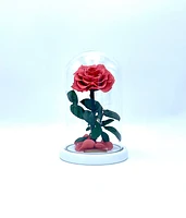 Medium Enchanted Glass Dome