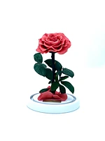Medium Enchanted Glass Dome