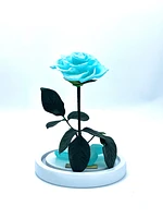Medium Enchanted Glass Dome
