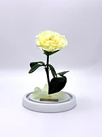 Medium Enchanted Glass Dome