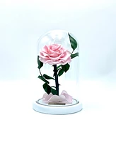 Medium Enchanted Glass Dome