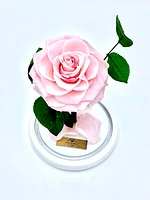 Medium Enchanted Glass Dome