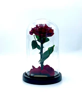Medium Enchanted Glass Dome