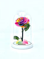 Medium Enchanted Glass Dome