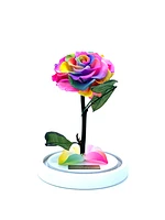 Medium Enchanted Glass Dome