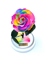 Medium Enchanted Glass Dome