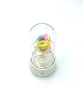 Enchanted Music Box