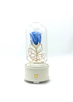 Enchanted Music Box