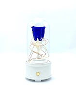 Enchanted Music Box