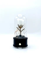 Enchanted Music Box