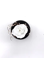 Enchanted Music Box