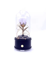 Enchanted Music Box