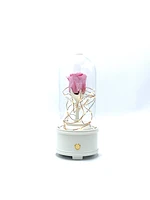 Enchanted Music Box