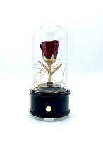 Enchanted Music Box