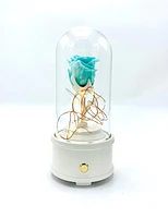 Enchanted Music Box