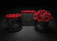 Elegance Classic Rose Bucket