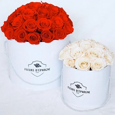 Prestige Rose Bucket - Small