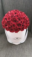 Red Velvet Romance Dome Classic Rose Bucket