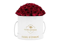 Prestige Rose Bucket