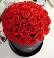 Red Velvet Romance Dome Classic Rose Bucket