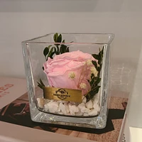 Organic Themed Single Preserved Rose