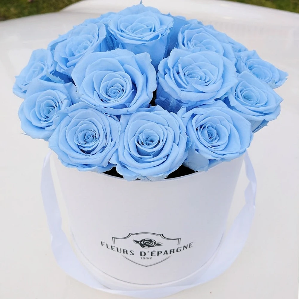 Blue Dream Classic Rose Bucket