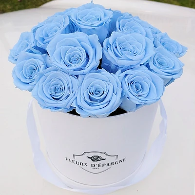 Blue Dream Classic Rose Bucket