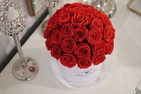 Super Dome Classic Rose Bucket