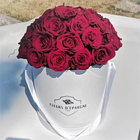 Red Velvet Romance Dome Classic Rose Bucket